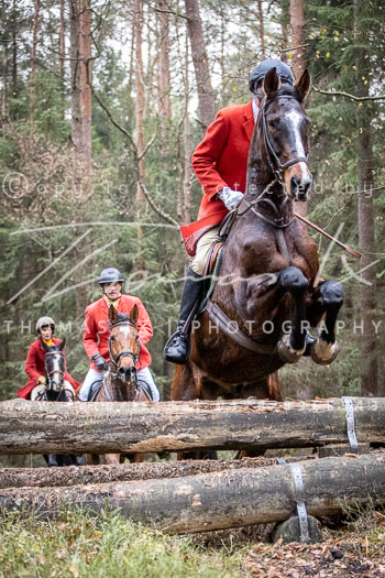 21 - Jagd Wense 21 - Jagd Wense