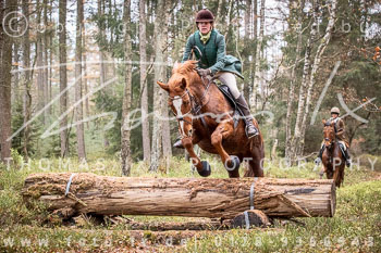 21 - Jagd Wense 21 - Jagd Wense