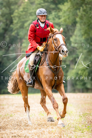 02 - Jagd Isernhagen