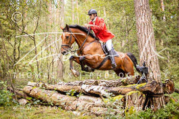 04 - Jagd Dreilingen 04 - Jagd Dreilingen