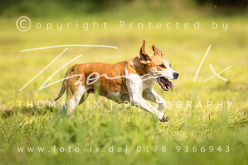 04 - Jagd Dreilingen