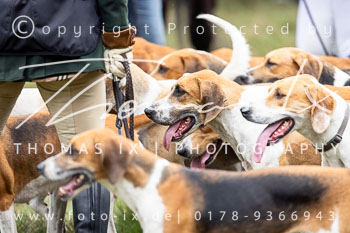 06 - Jagd Hermannsburg