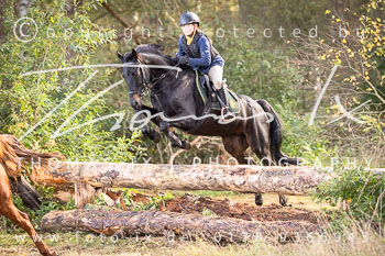 10 - Jagd Meitze 10 - Jagd Meitze