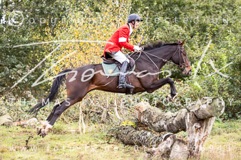 10 - Jagd Meitze 10 - Jagd Meitze