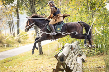 11 - Jagd Ollsen 11 - Jagd Ollsen