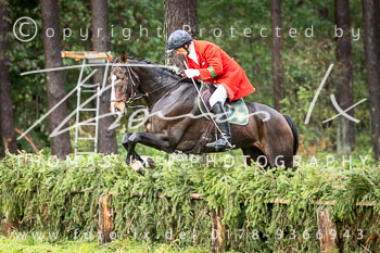 11 - Jagd Ollsen 11 - Jagd Ollsen
