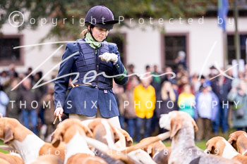 12 - Jagd Neuhaus im Solling