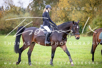 16 - Jagd Thedinghausen 16 - Jagd Thedinghausen