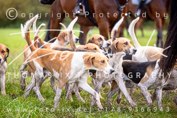 16 - Jagd Thedinghausen