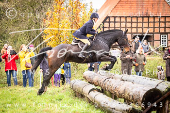 16 - Jagd Thedinghausen 16 - Jagd Thedinghausen