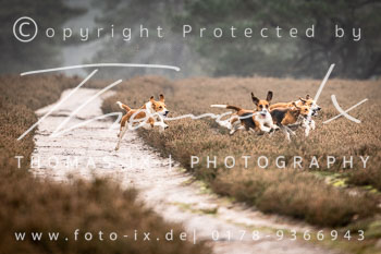 19 - Jagd Hermannsburg