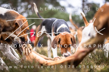 19 - Jagd Hermannsburg