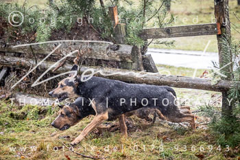 22 - Jagd Sudermühlen