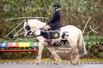 22 - Jagd Sudermühlen