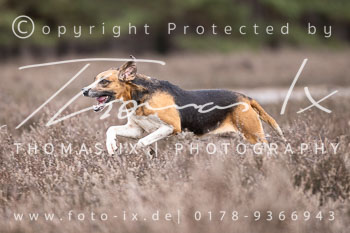 02 - Jagd Hermannsburg