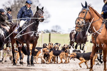 04 - Meutearbeit Hanstedt
