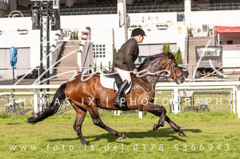 06 - Meutearbeit Horner Rennbahn