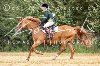 07 - Schleppjagd Rohlfshagen