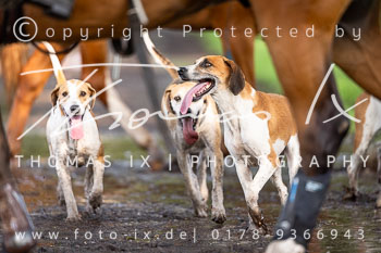 08 - Ursulum Isernhagen