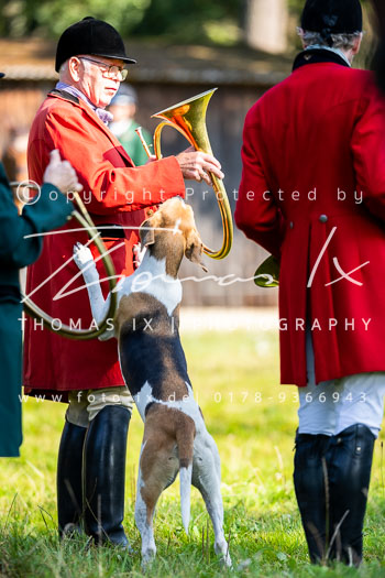 09 - Jagd Dreilingen