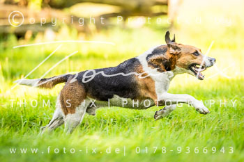 09 - Jagd Dreilingen