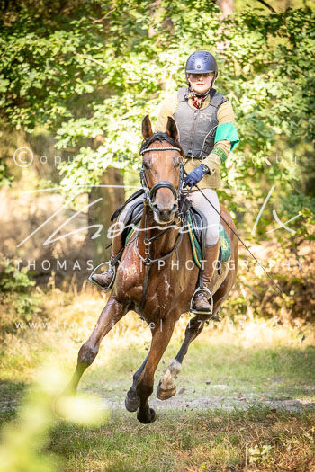 09 - Jagd Dreilingen