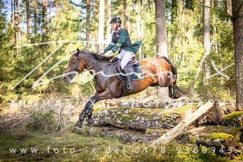 09 - Jagd Dreilingen