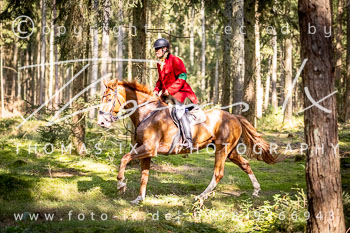 09 - Jagd Dreilingen