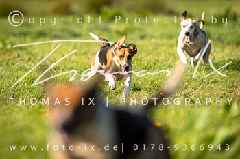 10 - Jagd Völkersen