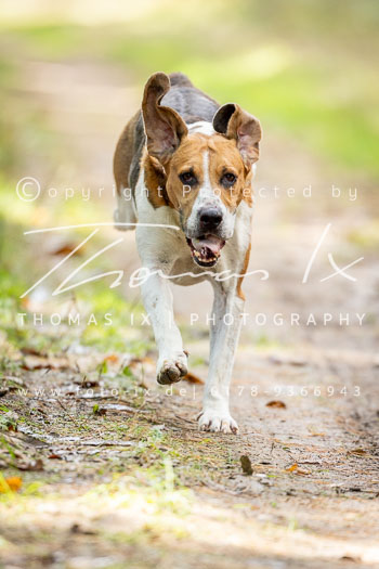 11 - Jugendjagd Marienau