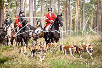 11 - Jugendjagd Marienau