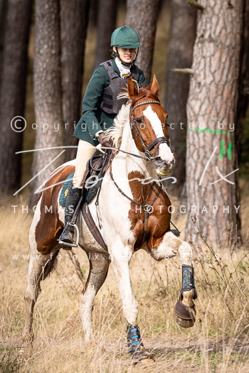 11 - Jugendjagd Marienau