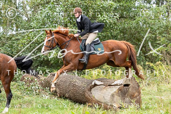 12 - Jagd Thönse