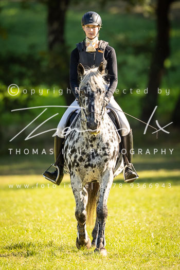 13 - Jagd Mechtersen