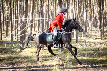 13 - Jagd Mechtersen