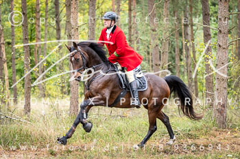 14 - Zwei-Meute-Jagd Rehrhof 14 - Zwei-Meute-Jagd Rehrhof
