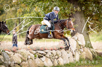 15 - Jagd Heitlingen