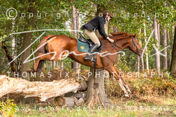 15 - Jagd Heitlingen