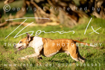 18 - Hubertusjagd Isernhagen