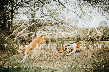 21 - Jagd Thedinghausen