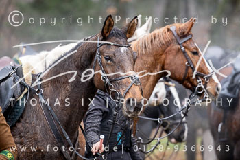 24 - Jagd Wense 24 - Jagd Wense