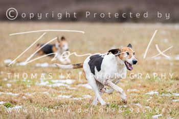 01 - Zwei-Meute-Jagd Kirchdorf