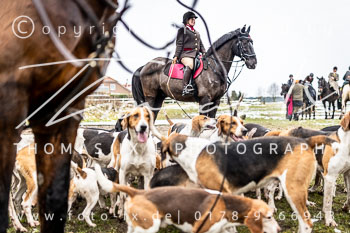 01 - Zwei-Meute-Jagd Kirchdorf 01 - Zwei-Meute-Jagd Kirchdorf