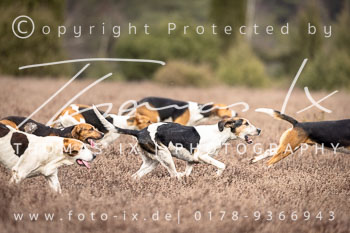 02 - Jagd Hermannsburg