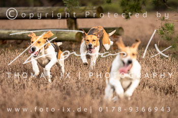 02 - Jagd Hermannsburg