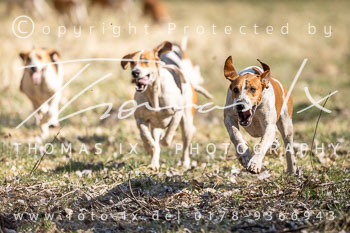 03 - Schleppjagd Wesendorf