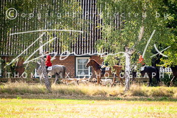 07 - Jagd Rohlfshagen