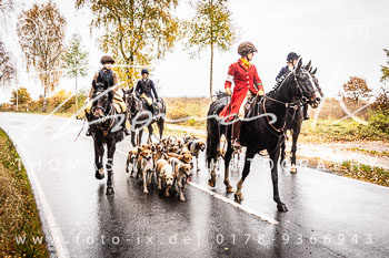 16- Schleppjagd Ollsen