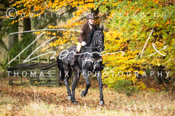 16- Schleppjagd Ollsen