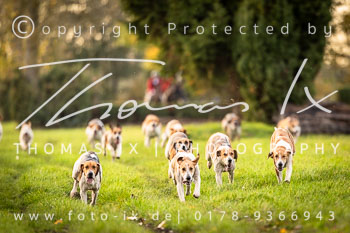 17 - Hubertusjagd Isernhagen